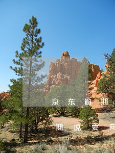 京东逾期说要建立民事档案真的吗-京东逾期说要向人民法院提起民事诉讼