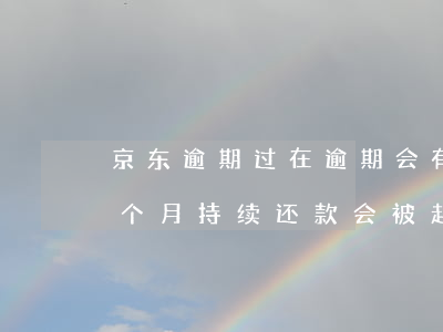 京东逾期过在逾期会有什么后果 京东逾期每个月持续还款会被起诉吗
