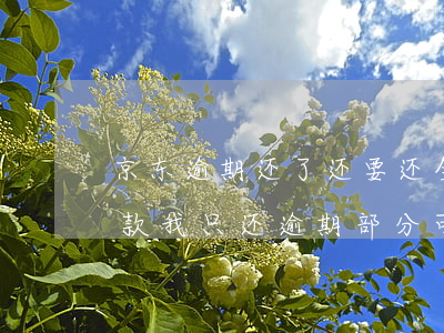 京东逾期还了还要还全款 京东逾期要求还全款,我只还逾期部分可以吗
