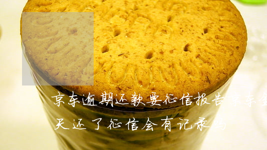 京东逾期还款要征信报告(京东金融逾期10天还了征信会有记录吗)