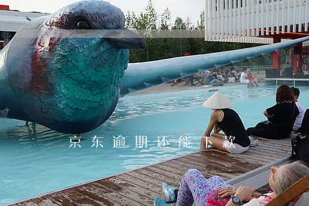 京东逾期还能下款