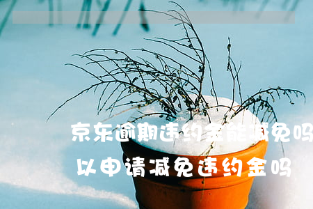 京东逾期违约金能减免吗(京东白条逾期了可以申请减免违约金吗)