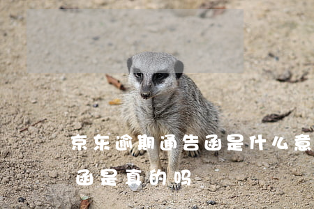 京东逾期通告函是什么意思 京东的催款通告函是真的吗