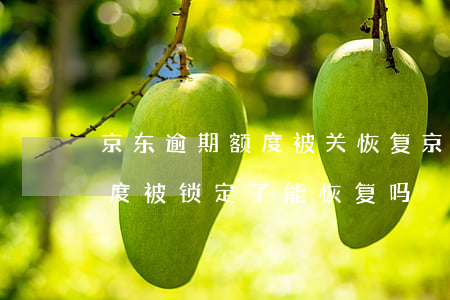 京东逾期额度被关恢复(京东逾期一次白条额度被锁定了能恢复吗)