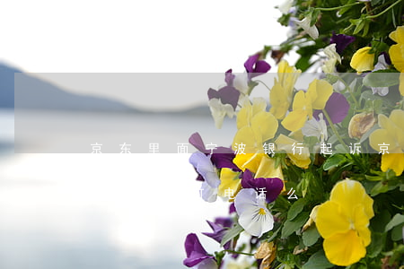 京东里面宁波银行起诉(京东金融宁波银行直接贷会打电话么)