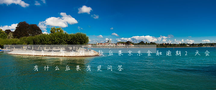 京东金库逾期还款后果(京东金融逾期2天会有什么后果?,有奖问答)