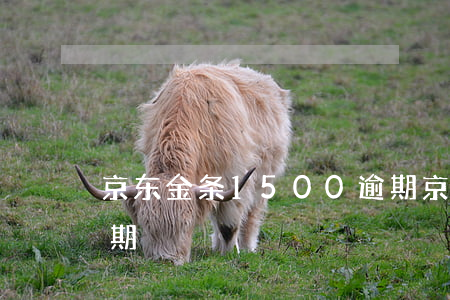 京东金条1500逾期（京东金条1500逾期）