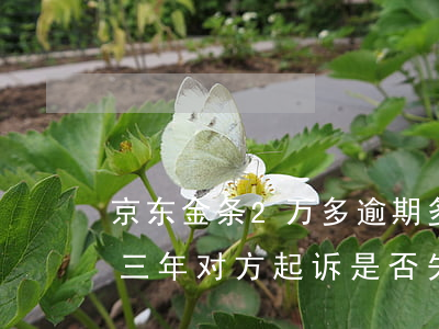 京东金条2万多逾期多久起诉 京东金条逾期三年对方起诉是否失效?