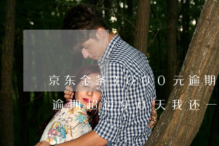 京东金条3000元逾期270天(京东金条逾期超过90天我还一部分钱可以吗)