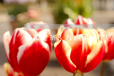 京东金条8万逾期三年后果