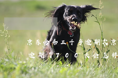 京东金条三千多逾期(欠京东金条3000多,逾期了700天会怎样)