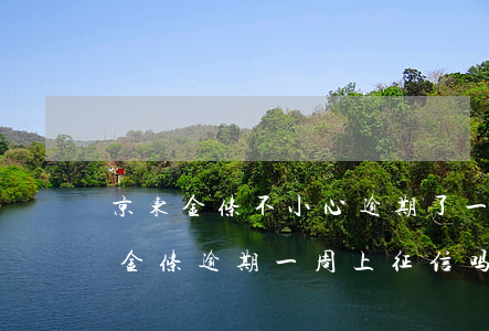 京东金条不小心逾期了一天会上征信吗（京东金条逾期一周上征信吗）