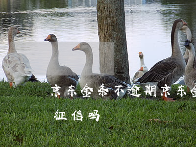 京东金条不逾期(京东金条不逾期还款会影响征信吗?)