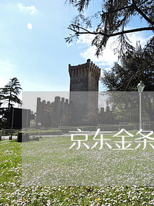 京东金条不逾期征信有显示吗