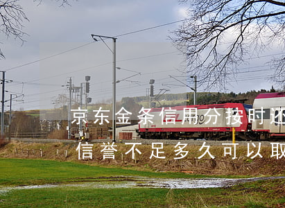 京东金条信用分按时还款不涨分-京东金条信誉不足多久可以取消