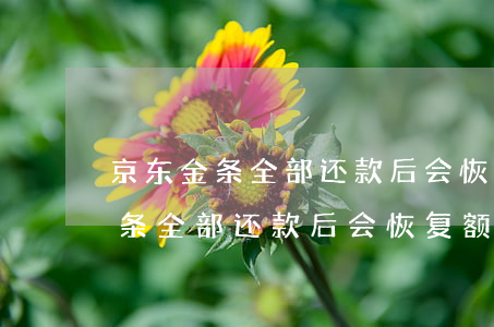 京东金条全部还款后会恢复额度吗-京东金条全部还款后会恢复额度吗安全吗