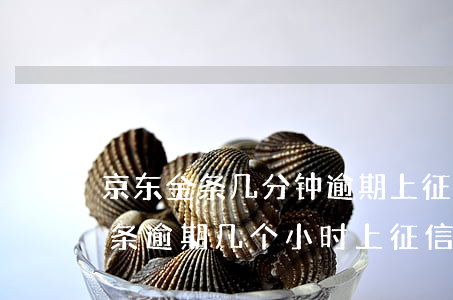 京东金条几分钟逾期上征信合理吗-京东金条逾期几个小时上征信了,怎么办