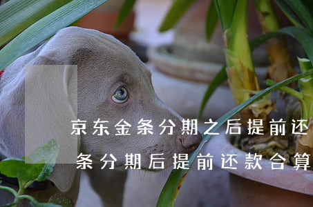 京东金条分期之后提前还款划算吗-京东金条分期后提前还款合算还是期满合算