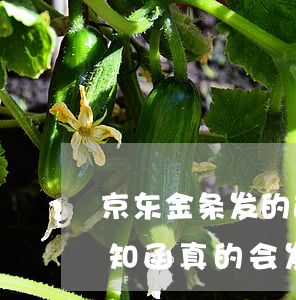京东金条发的通告函欠多久会发(京东金条告知函 真的会发么)