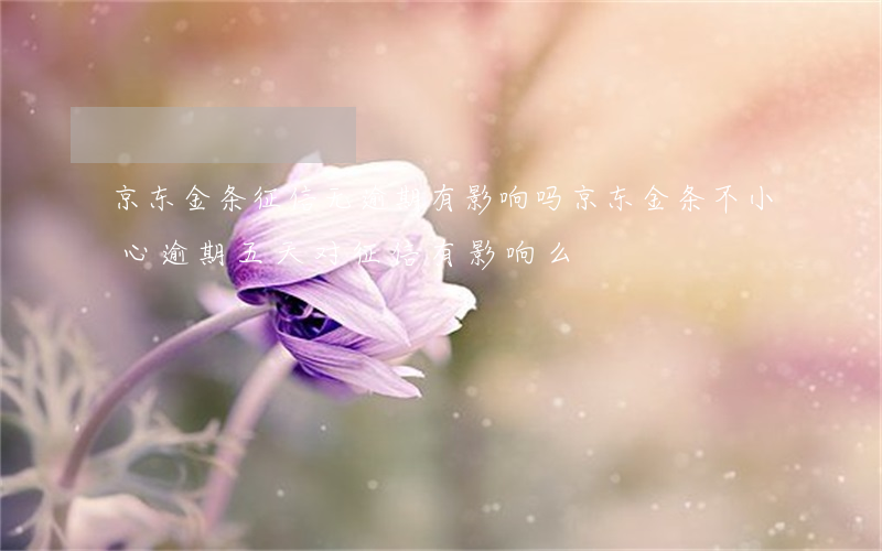 京东金条征信无逾期有影响吗(京东金条不小心逾期五天对征信有影响么)