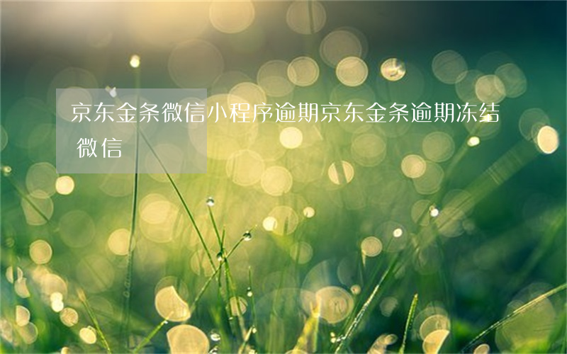 京东金条微信小程序逾期(京东金条逾期冻结微信)