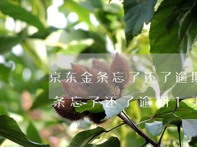 京东金条忘了还了逾期1天要紧吗-京东金条忘了还了逾期1天要紧吗怎么办
