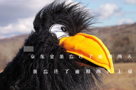京东金条忘还了逾期两天上征信不-京东金条忘还了逾期两天上征信不上征信