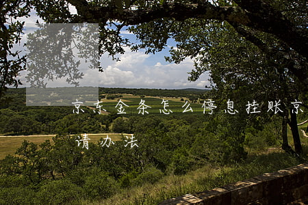京东金条怎么停息挂账(京东金条停息挂账申请办法)
