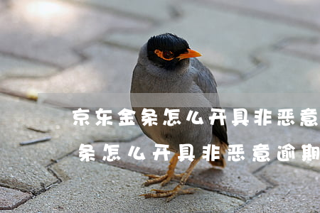 京东金条怎么开具非恶意逾期证明-京东金条怎么开具非恶意逾期证明呢