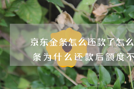 京东金条怎么还款了怎么变负数了-京东金条为什么还款后额度不恢复