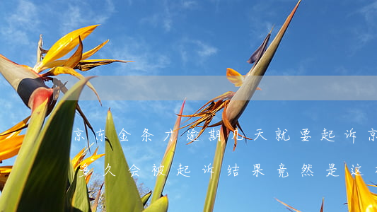 京东金条才逾期几天就要起诉(京东金条逾期多久会被起诉?结果竟然是这样的!)