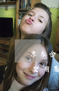 京东金条拍拍贷安全吗（京东白条逾期对拍拍贷有影响吗）