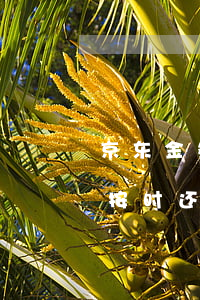 京东金条按时还款征信有显示吗-京东金条按时还款征信有显示吗安全吗