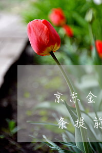 京东金条提前3个月还款利息多少-京东金条提前3个月还款利息多少钱