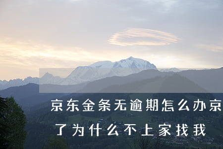 京东金条无逾期怎么办(京东金条逾期一年多了为什么不上家找我)