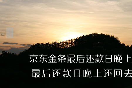 京东金条最后还款日晚上还回去-京东金条最后还款日晚上还回去可以吗