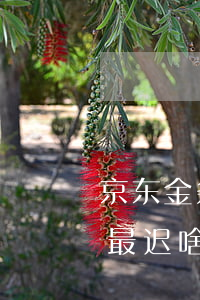 京东金条最迟啥时候还不算逾期-京东金条最迟啥时候还不算逾期了
