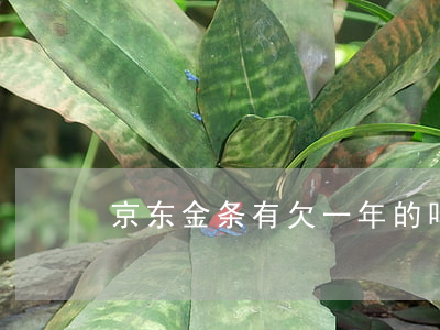京东金条有欠一年的吗(京东金条好几年没还)