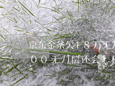 京东金条欠18万无力偿还(京东金条23000无力偿还会怎样)