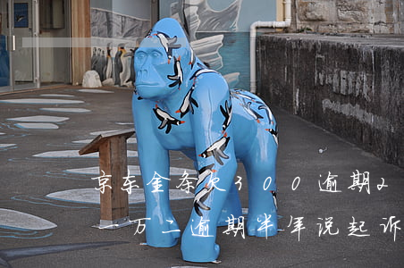 京东金条欠300逾期2个月(京东金条欠了一万二逾期半年说起诉我)