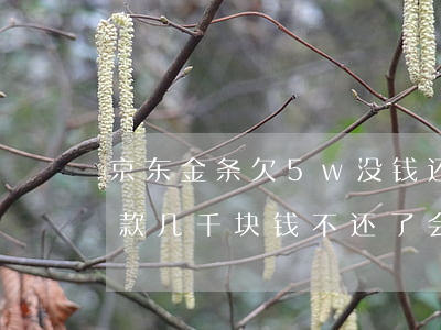 京东金条欠5w没钱还了怎么办(京东金条欠款几千块钱不还了会怎么样)