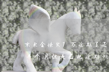 京东金条欠7万逾期了还不起(京东金条逾期半个月但是已把逾期部分还了)