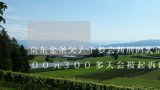 京东金条欠7千多会判刑吗(欠京东金条6000元,300多天会被起诉吗)