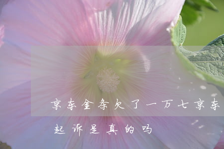 京东金条欠了一万七(京东金条欠了八百他说起诉是真的吗?)