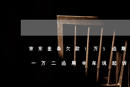 京东金条欠款1万5逾期一年(京东金条欠了一万二逾期半年说起诉我)