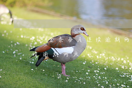京东金条每月连续逾期两天(京东金条每月连续逾期两天)
