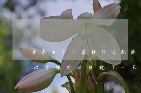 京东金条江苏银行还款晚了一天-京东金条江苏银行还款晚了一天算逾期吗