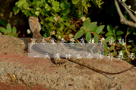 京东金条没有提示逾期一天(京东金条逾期了一天,有什么办法补救吗)