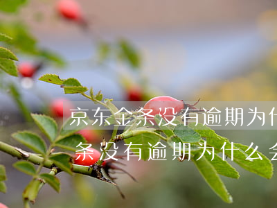 京东金条没有逾期为什么会降额度-京东金条没有逾期为什么会降额度了