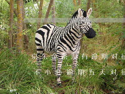 京东金条没有逾期对征信有影响吗(京东金条不小心逾期五天对征信有影响么)